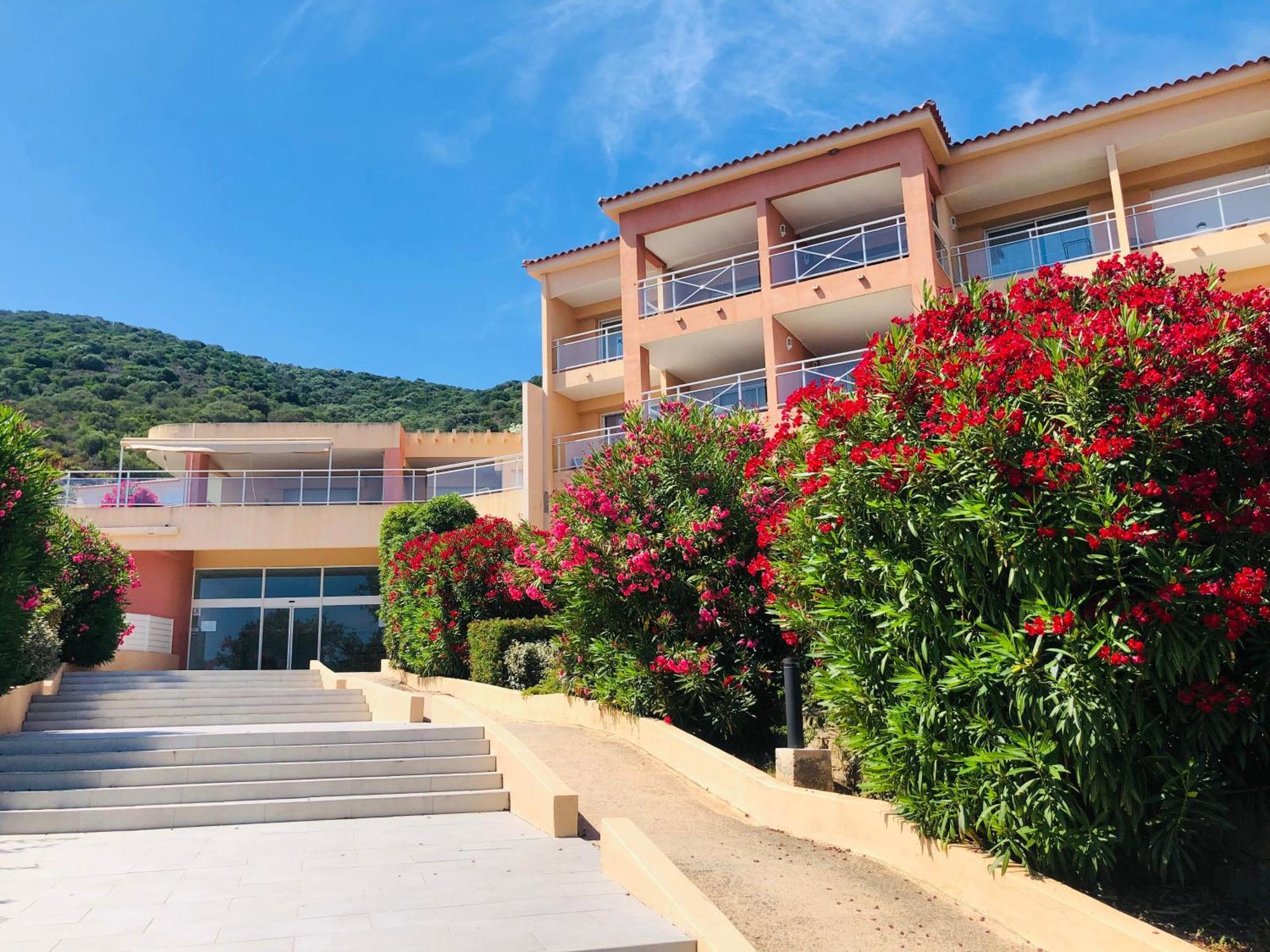 Superbe T2 Vue Mer - Piscine & Plage A 100M Ajaccio  Exterior photo